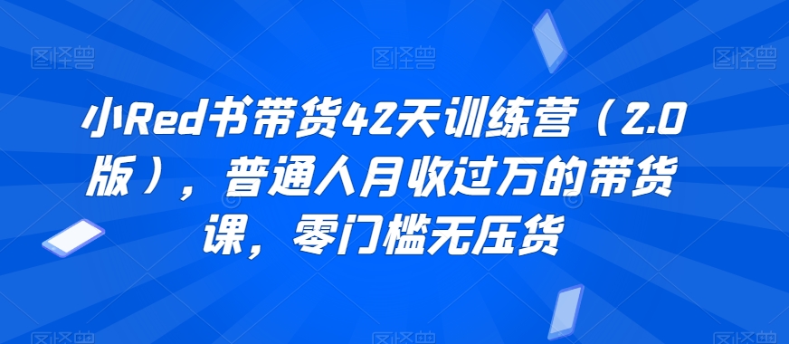 小Red书带货42天训练营（2.0版），普通人月收过万的带货课，零门槛无压货-古龙岛网创