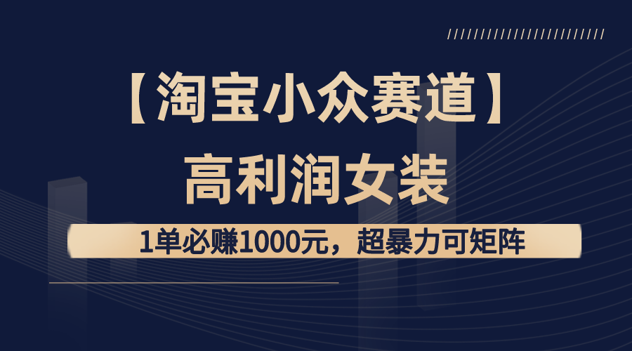 （8608期）【淘宝小众赛道】高利润女装：1单必赚1000元，超暴力可矩阵-古龙岛网创