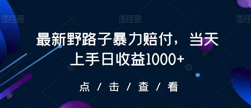 最新野路子暴力赔付，当天上手日收益1000+【仅揭秘】-古龙岛网创