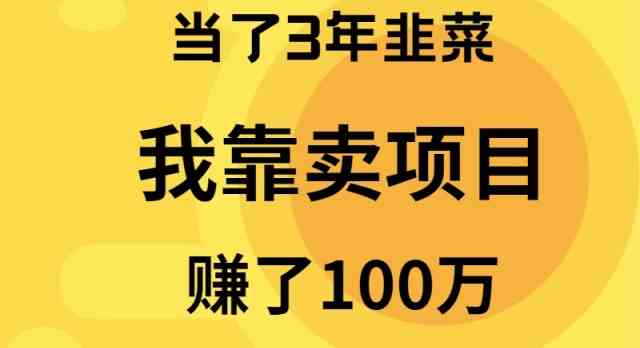 （9100期）当了3年韭菜，我靠卖项目赚了100万-古龙岛网创