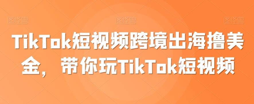 TikTok短视频跨境出海撸美金，带你玩TikTok短视频-古龙岛网创