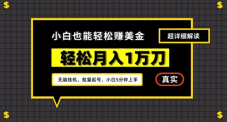 谷歌看广告撸美金2.0，无脑挂机，多号操作，月入1万刀【揭秘】-古龙岛网创