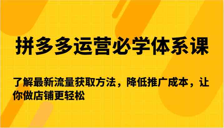 拼多多运营必学体系课-了解最新流量获取方法，降低推广成本，让你做店铺更轻松-古龙岛网创