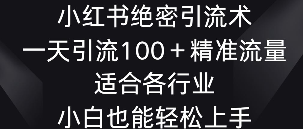 小红书绝密引流术，一天引流100+精准流量，适合各个行业，小白也能轻松上手【揭秘】-古龙岛网创