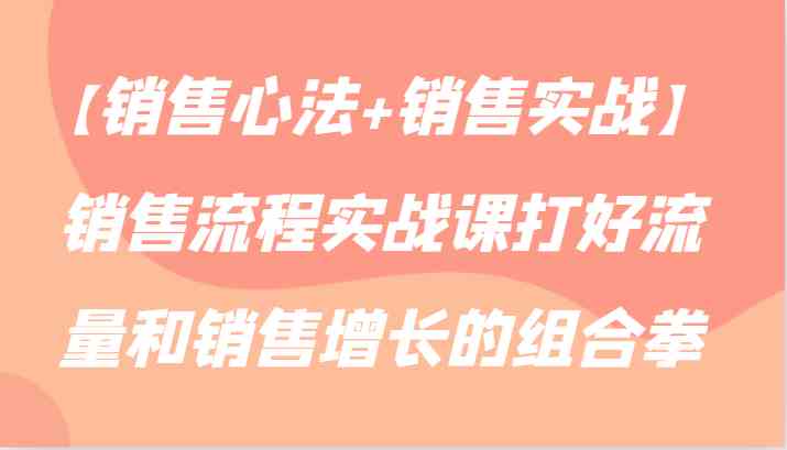 【销售心法+销售实战】销售流程实战课打好流量和销售增长的组合拳-古龙岛网创