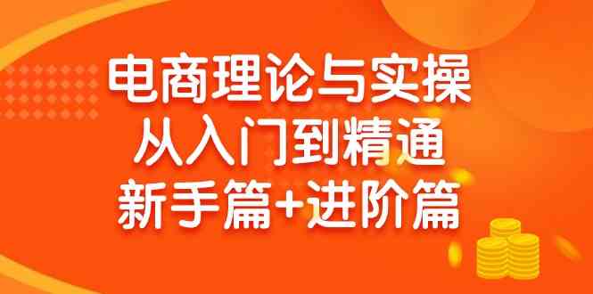 （9576期）电商理论与实操从入门到精通 新手篇+进阶篇-古龙岛网创