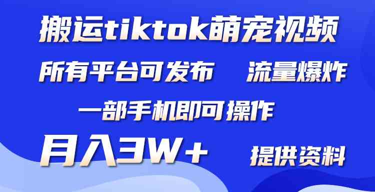 （9618期）搬运Tiktok萌宠类视频，一部手机即可。所有短视频平台均可操作，月入3W+-古龙岛网创