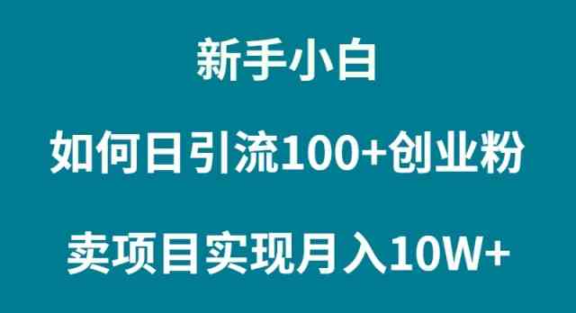 （9556期）新手小白如何通过卖项目实现月入10W+-古龙岛网创