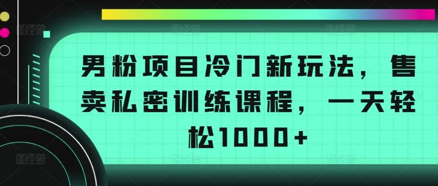 男粉项目冷门新玩法，售卖私密训练课程，一天轻松1000+【揭秘】-古龙岛网创