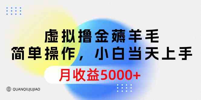 （9864期）虚拟撸金薅羊毛，简单操作，小白当天上手，月收益5000+-古龙岛网创