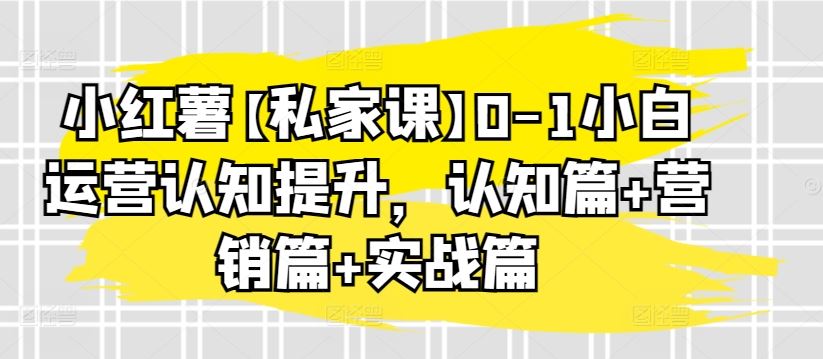 小红薯【私家课】0-1小白运营认知提升，认知篇+营销篇+实战篇-古龙岛网创