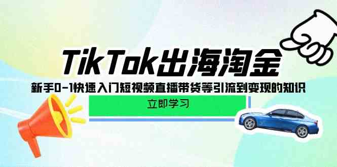 （10035期）TikTok-出海淘金，新手0-1快速入门短视频直播带货等引流到变现的知识-古龙岛网创