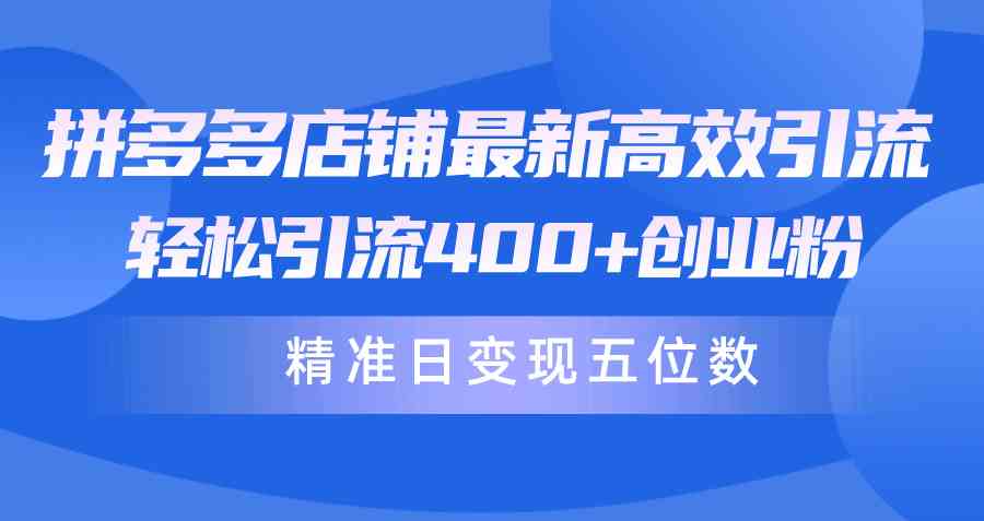 （10041期）拼多多店铺最新高效引流术，轻松引流400+创业粉，精准日变现五位数！-古龙岛网创