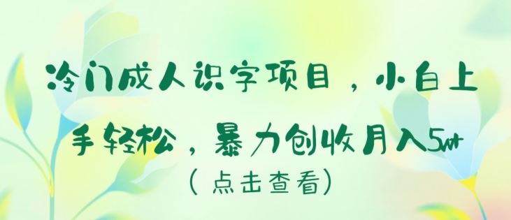 冷门成人识字项目，小白上手轻松，暴力创收月入5w+【揭秘】-古龙岛网创