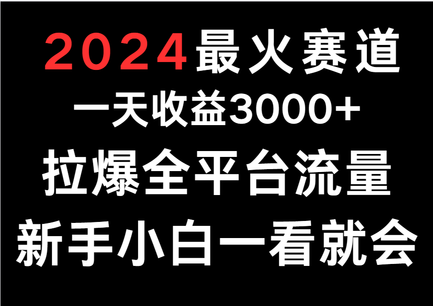 2024最火赛道，一天收一3000+.拉爆全平台流量，新手小白一看就会-古龙岛网创