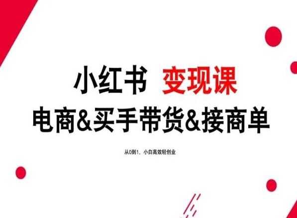 2024年最新小红书变现课，电商&买手带货&接商单，从0到1，小白高效轻创业-古龙岛网创