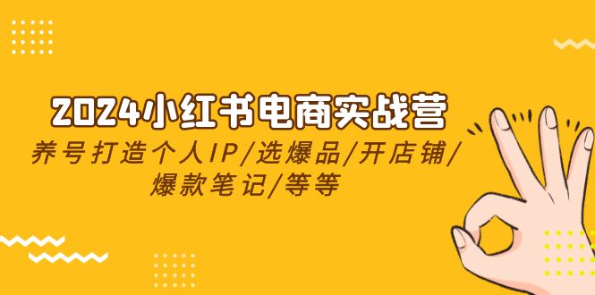 （10375期）2024小红书电商实战营，养号打造IP/选爆品/开店铺/爆款笔记/等等（24节）-古龙岛网创