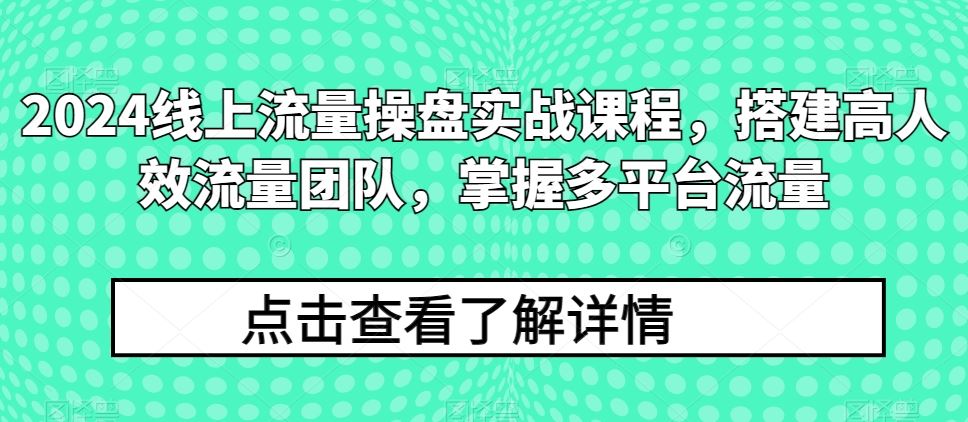 2024线上流量操盘实战课程，搭建高人效流量团队，掌握多平台流量-古龙岛网创