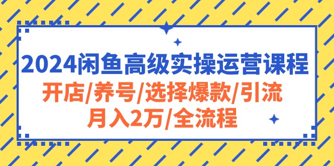 （10711期）2024闲鱼高级实操运营课程：开店/养号/选择爆款/引流/月入2万/全流程-古龙岛网创