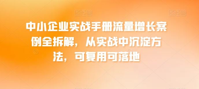 中小企业实战手册流量增长案例全拆解，从实战中沉淀方法，可复用可落地-古龙岛网创