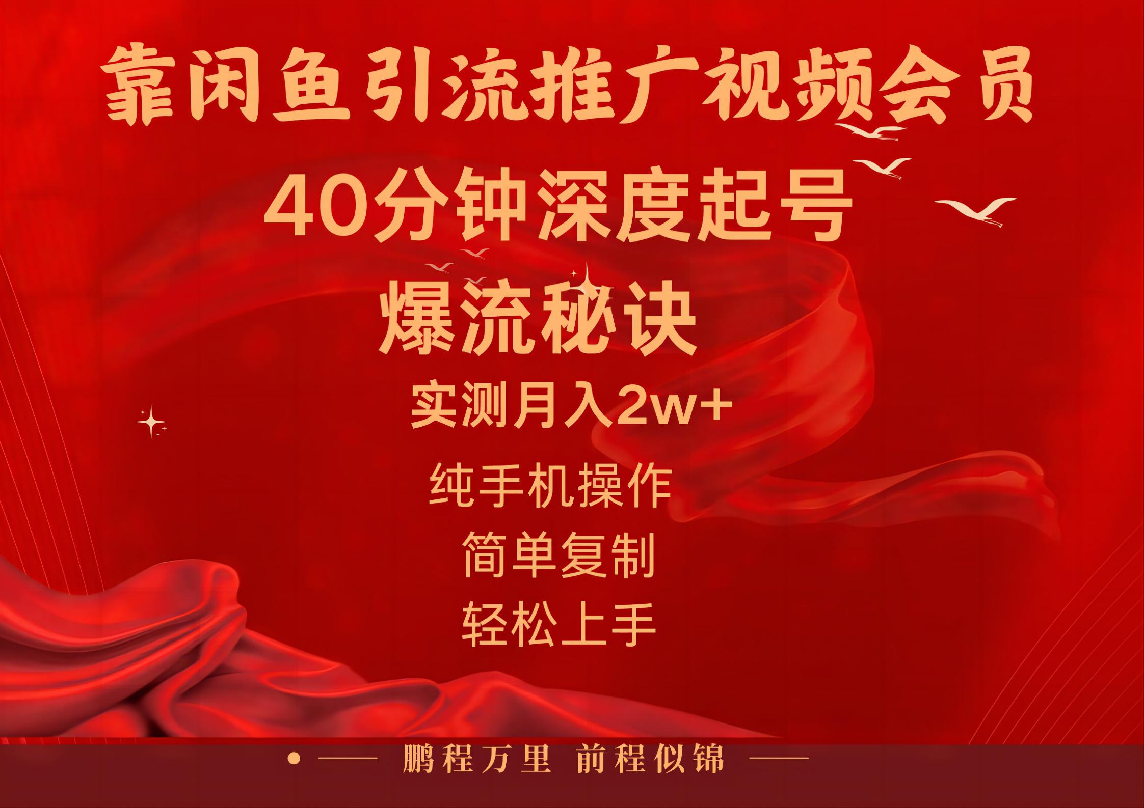 （10896期）闲鱼暴力引流推广视频会员，能做到日入2W+，操作简单-古龙岛网创