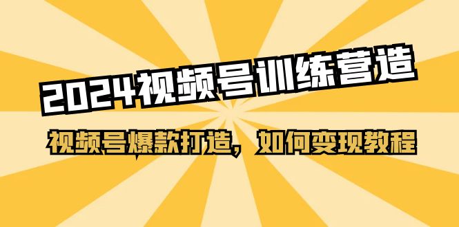 （11135期）2024视频号训练营，视频号爆款打造，如何变现教程（20节课）-古龙岛网创