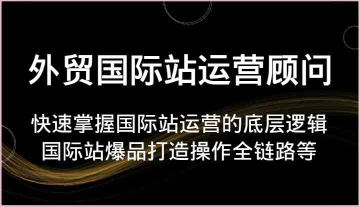 外贸国际站运营顾问-快速掌握国际站运营的底层逻辑，国际站爆品打造操作全链路等-古龙岛网创