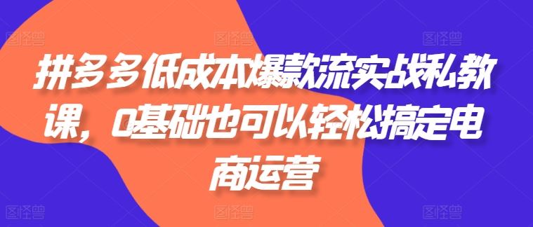 拼多多低成本爆款流实战私教课，0基础也可以轻松搞定电商运营-古龙岛网创