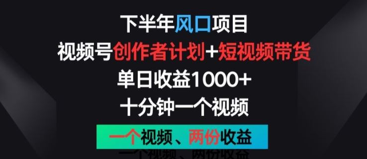 下半年风口项目，视频号创作者计划+视频带货，一个视频两份收益，十分钟一个视频【揭秘】-古龙岛网创