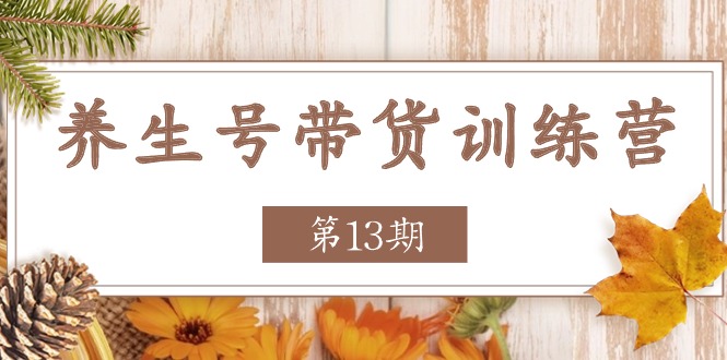 （11275期）养生号-带货训练营【第13期】收益更稳定的玩法，让你带货收益爆炸-古龙岛网创