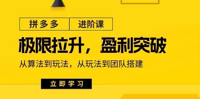 （11435期）拼多多·进阶课：极限拉升/盈利突破：从算法到玩法 从玩法到团队搭建-18节-古龙岛网创