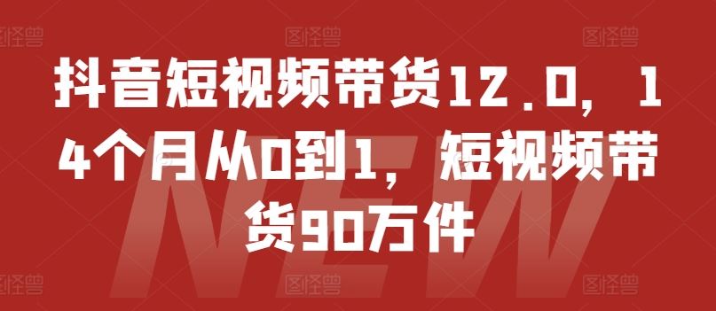 抖音短视频带货12.0，14个月从0到1，短视频带货90万件-古龙岛网创