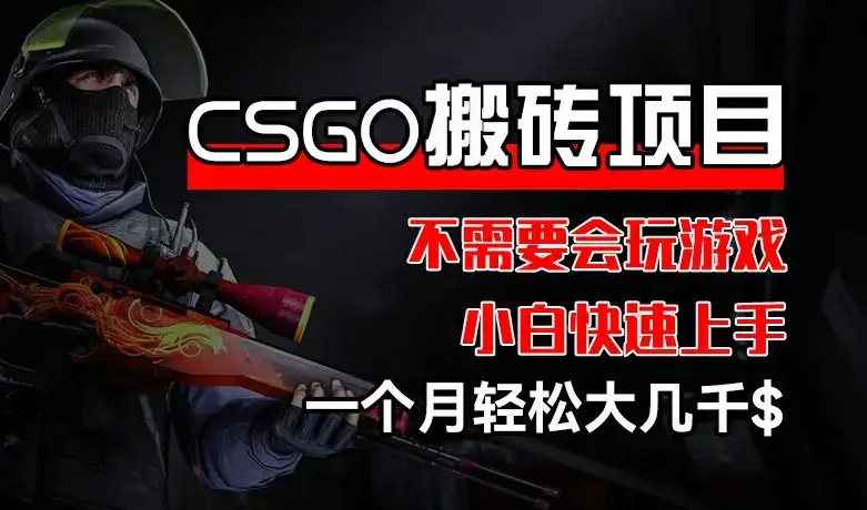 CSGO装备搬砖项目，操作简单，不需要会玩游戏，小白也行-古龙岛网创