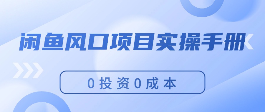 （11923期）闲鱼风口项目实操手册，0投资0成本，让你做到，月入过万，新手可做-古龙岛网创