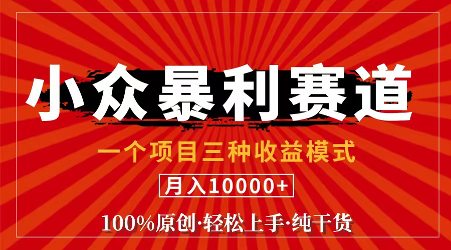 （11695期）视频号【中老年粉深信不疑】小众赛道 100%原创 手把手教学 新号3天收益…-古龙岛网创