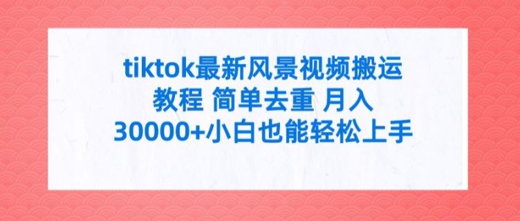 tiktok最新风景视频搬运教程 简单去重 月入3W+小白也能轻松上手【揭秘】-古龙岛网创