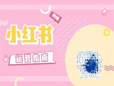 小红书运营指南，没有套路，全是经验-古龙岛网创