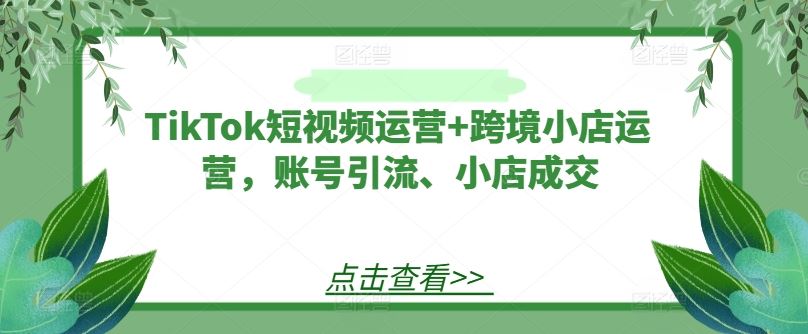 TikTok短视频运营+跨境小店运营，账号引流、小店成交-古龙岛网创