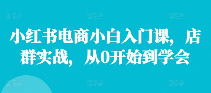 小红书电商小白入门课，店群实战，从0开始到学会-古龙岛网创