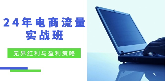 （12168期）24年电商流量实战班：无界 红利与盈利策略，终极提升/关键词优化/精准…-古龙岛网创