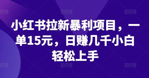 小红书拉新暴利项目，一单15元，日赚几千小白轻松上手【揭秘】-古龙岛网创