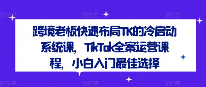 跨境老板快速布局TK的冷启动系统课，TikTok全案运营课程，小白入门最佳选择-古龙岛网创