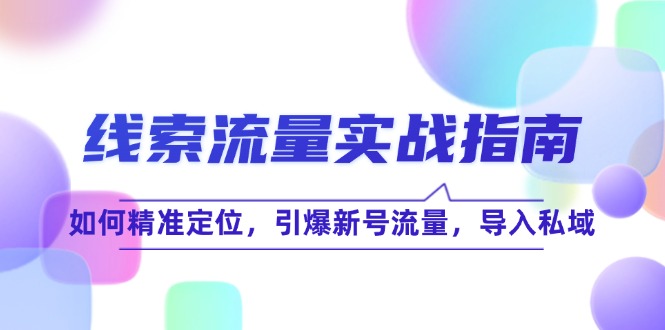 （12382期）线 索 流 量-实战指南：如何精准定位，引爆新号流量，导入私域-古龙岛网创