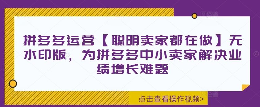 拼多多运营【聪明卖家都在做】无水印版，为拼多多中小卖家解决业绩增长难题-古龙岛网创