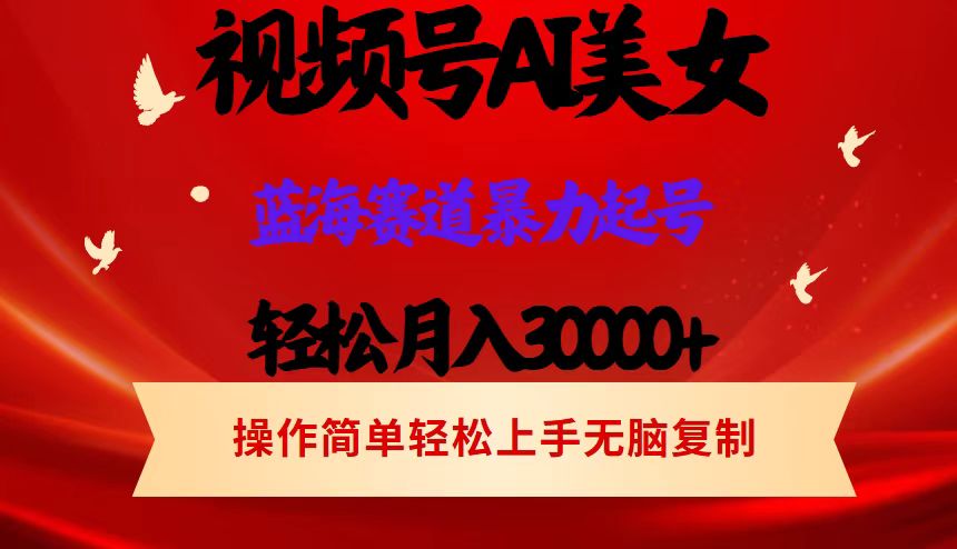 （12178期）视频号AI美女跳舞，轻松月入30000+，蓝海赛道，流量池巨大，起号猛，当…-古龙岛网创