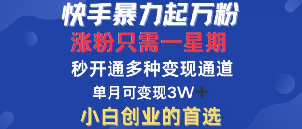 快手暴力起万粉，涨粉只需一星期，多种变现模式，直接秒开万合，单月变现过W【揭秘】-古龙岛网创