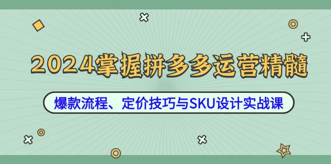 （12703期）2024掌握拼多多运营精髓：爆款流程、定价技巧与SKU设计实战课-古龙岛网创