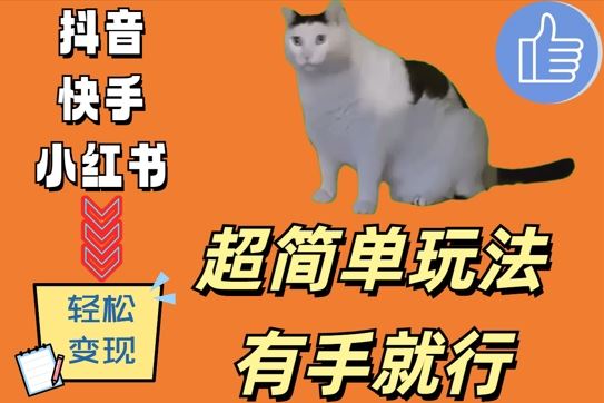 超简单玩法，有手就行，靠猫咪视频日入500+【揭秘】-古龙岛网创