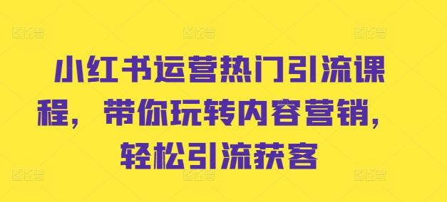 小红书运营热门引流课程，带你玩转内容营销，轻松引流获客-古龙岛网创