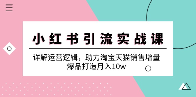 （12809期）小红书引流实战课：详解运营逻辑，助力淘宝天猫销售增量，爆品打造月入10w-古龙岛网创